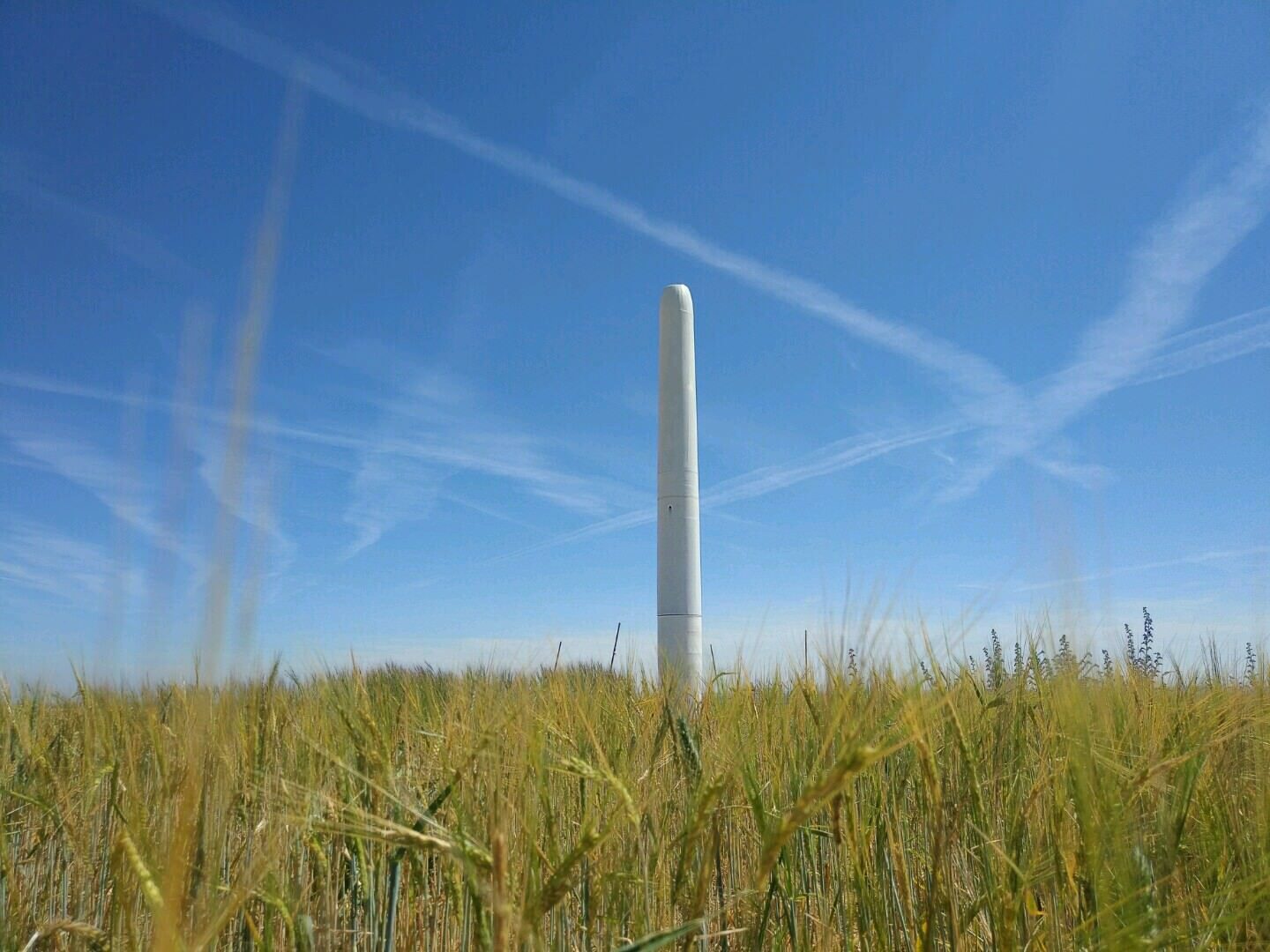 A slender, smooth white mast about the height of a person and a half stands alone in a field of tall ripening grain, tapering slightly toward a rounded top, with no blades, hub or moving parts of any kind, under a blue sky criss-crossed by aircraft contrails