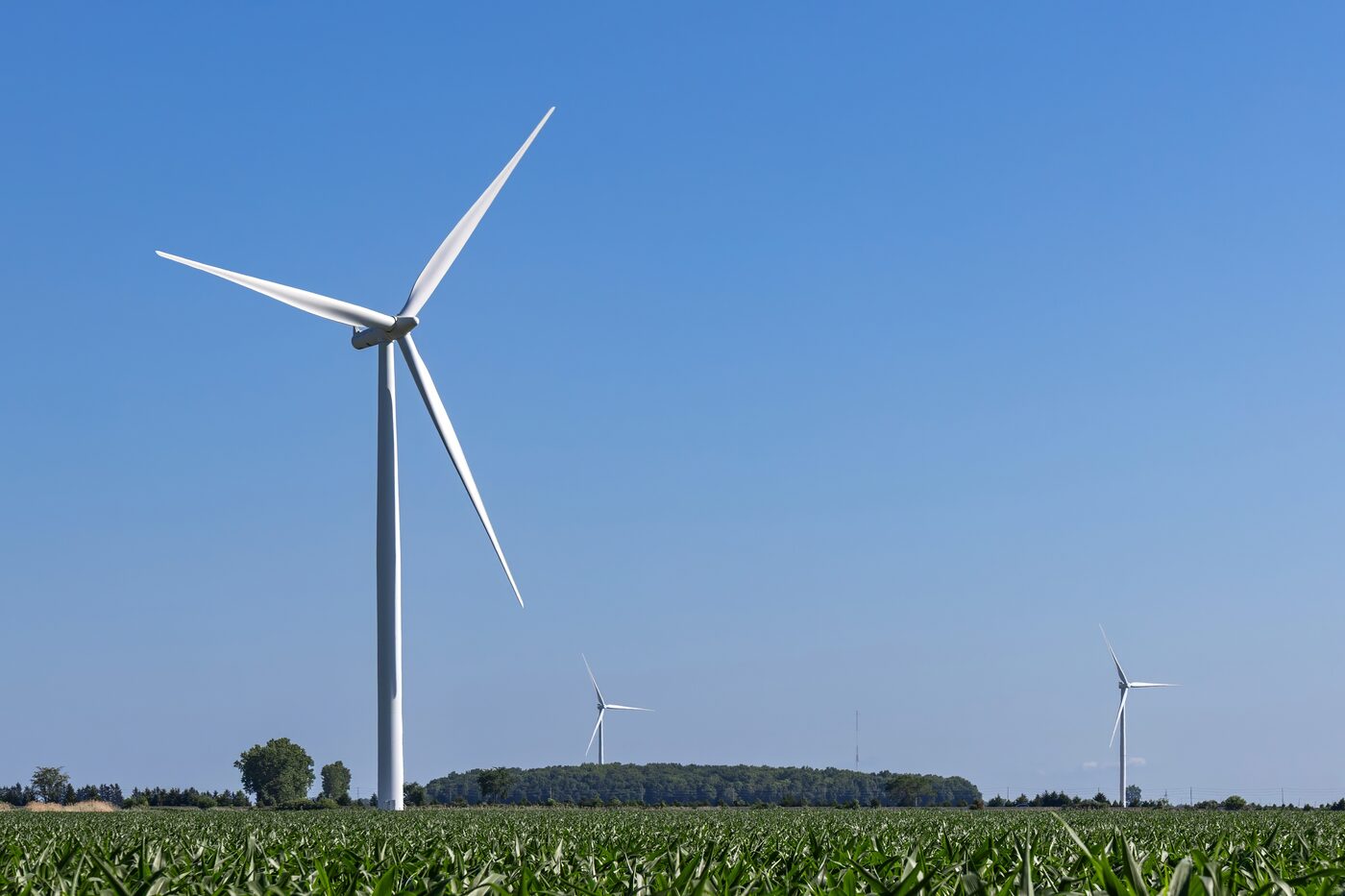 Three white three-bladed wind turbines standing over a green cornfield under a clear blue sky, one close and towering, two more small on the distant horizon