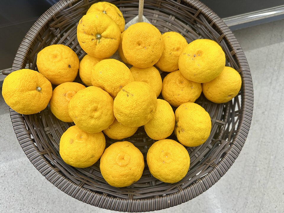 A woven basket piled with bright yellow-orange yuzu fruit for sale