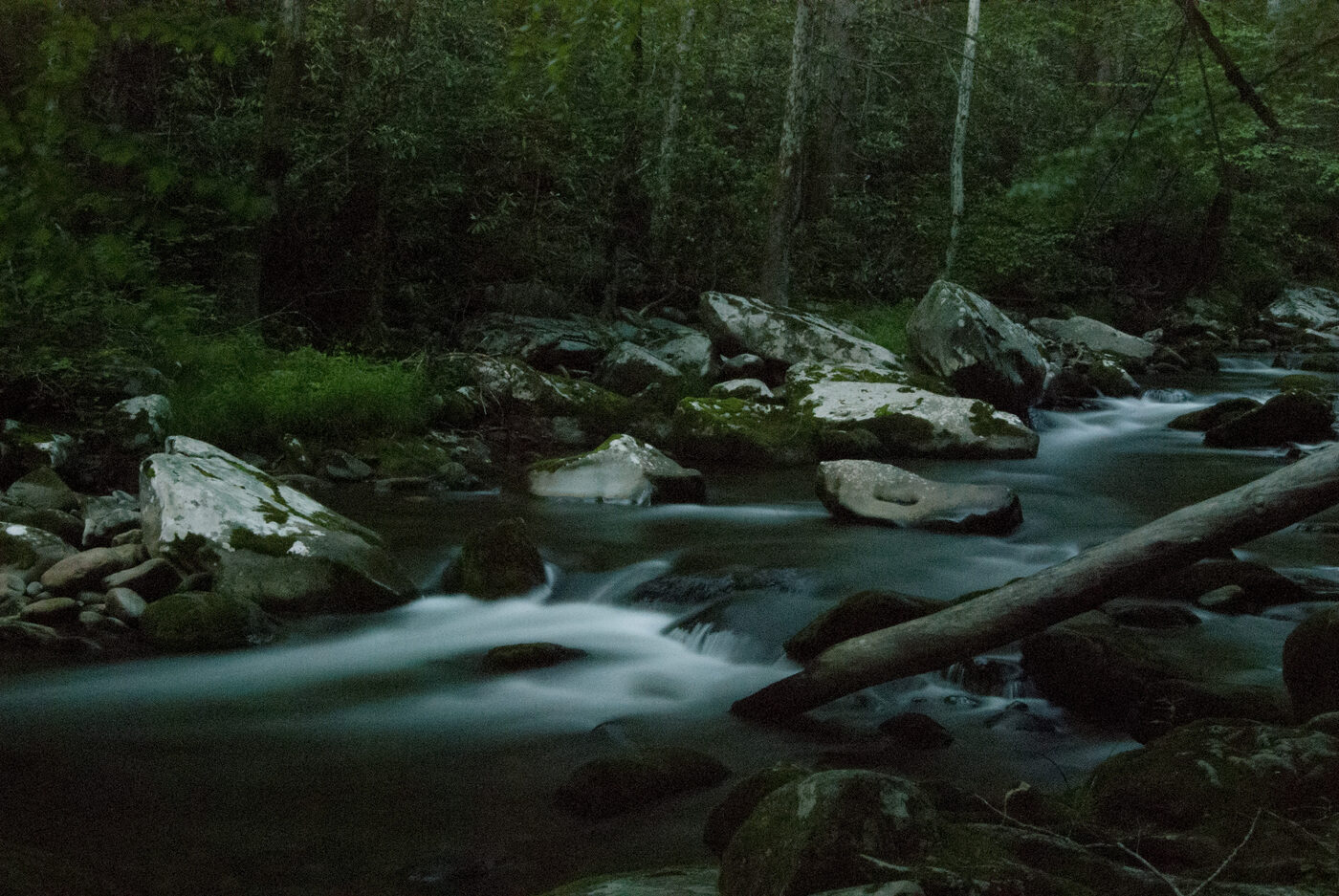 The Little River at Elkmont at dusk, water blurred smooth by a long exposure as it runs between mossy boulders and a fallen log, dense green forest behind
