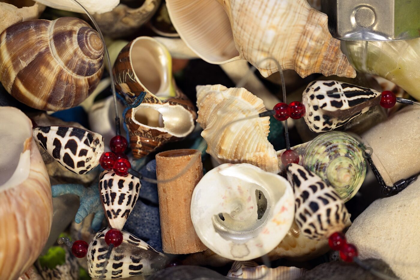 A dense jumble of seashells of many shapes and colours mixed with man-made objects — glass beads, a ceramic tube, plastic fragments and a metal clip