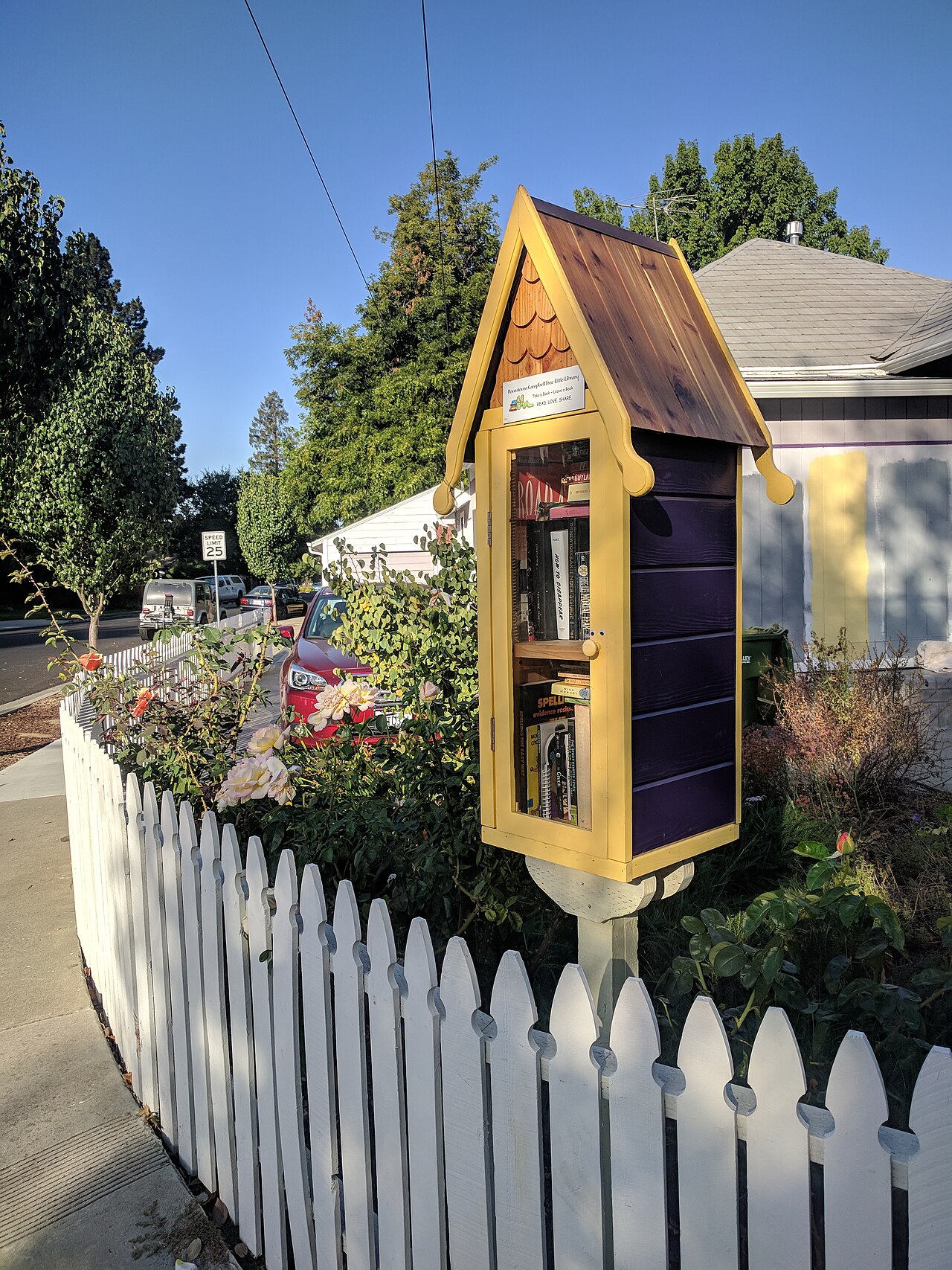 A well-kept Little Free Library book box on a sidewalk in a town center