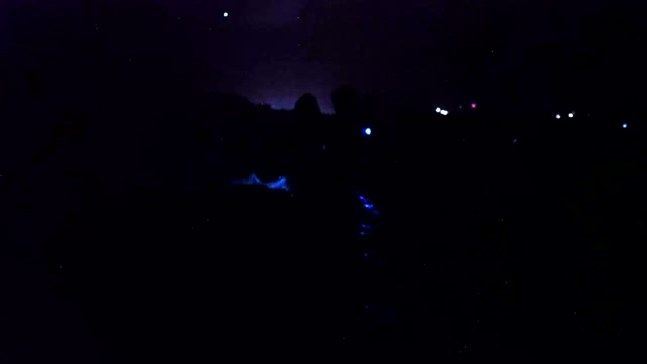 A video still from Mosquito Bay at night showing blue bioluminescent light glowing in the water around a kayak paddle