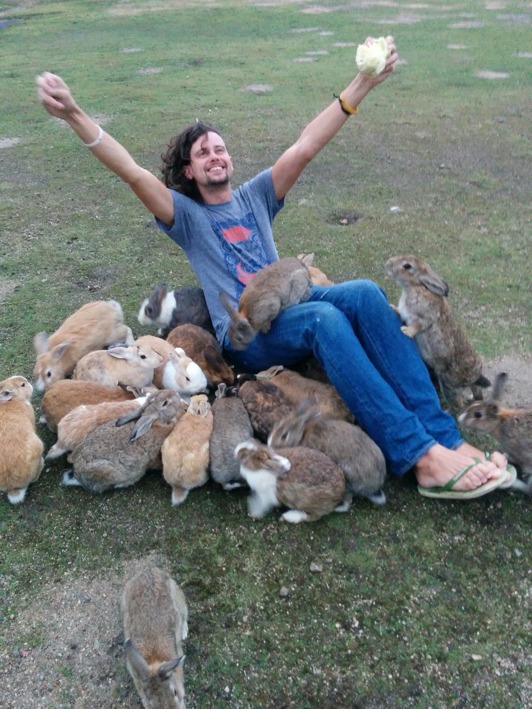 Several rabbits gathered around and hopping toward a seated visitor on Ōkunoshima