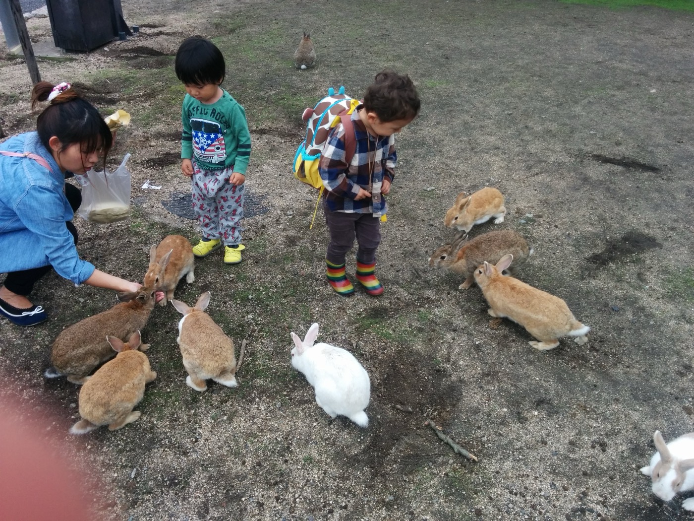 Children crouching down to hand-feed rabbits on Ōkunoshima