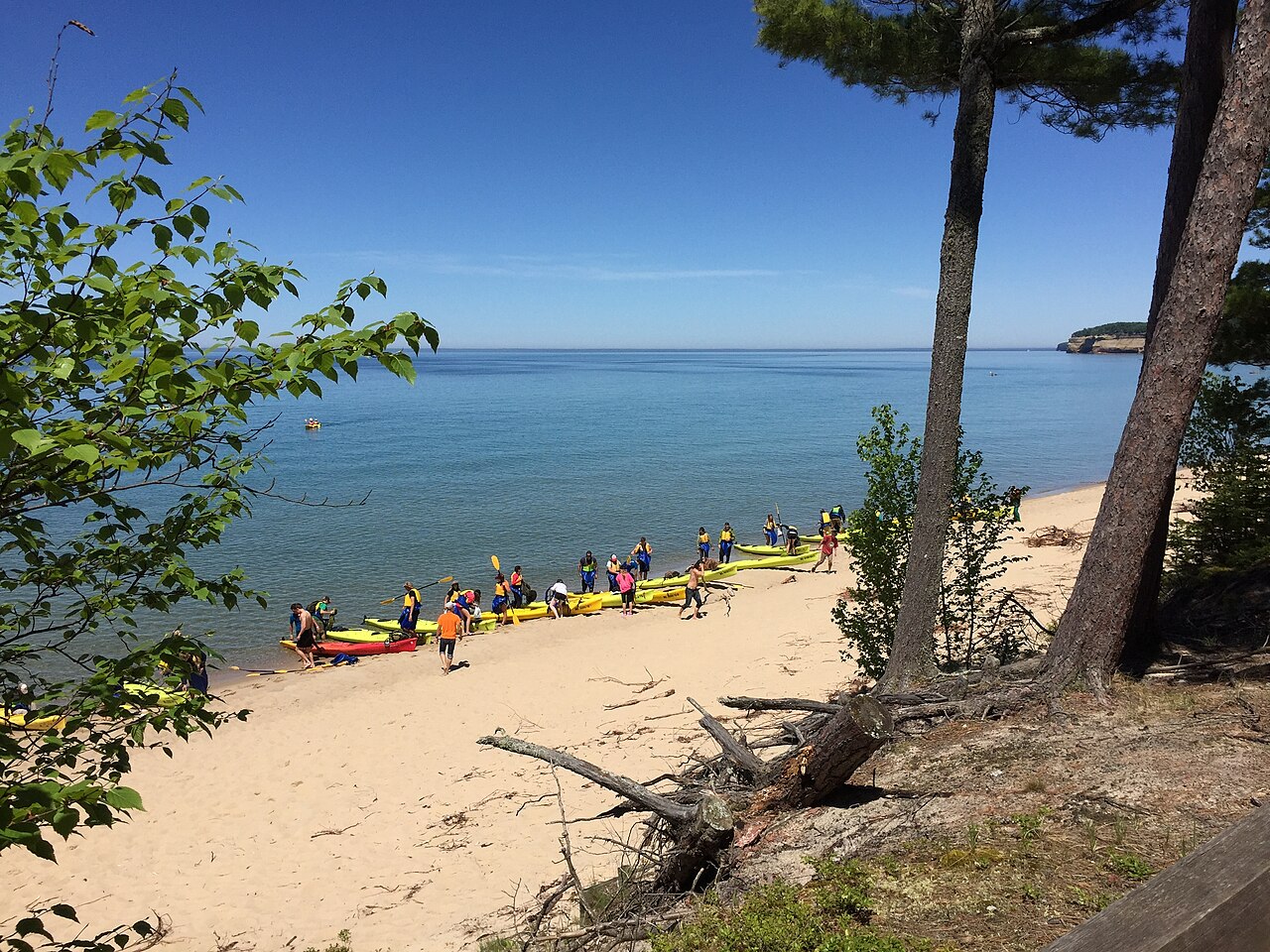 A row of kayaks pulled up on a sandy shoreline beside calm water, with paddles and life jackets laid out ready