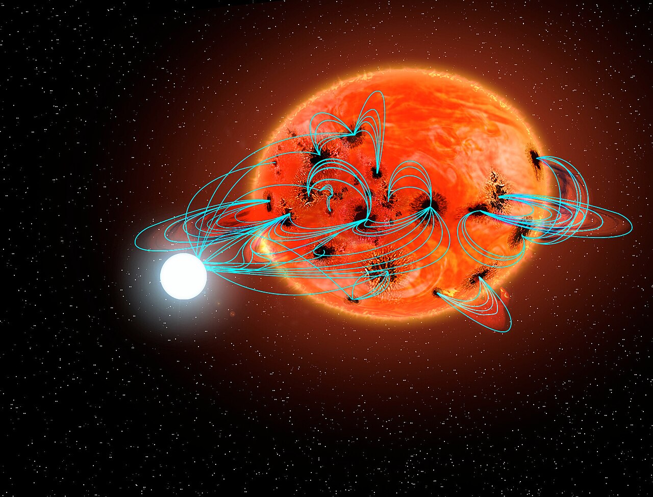 Artist's concept of a polar: a small white dwarf beside a large red companion star, with blue magnetic field lines looping between the two