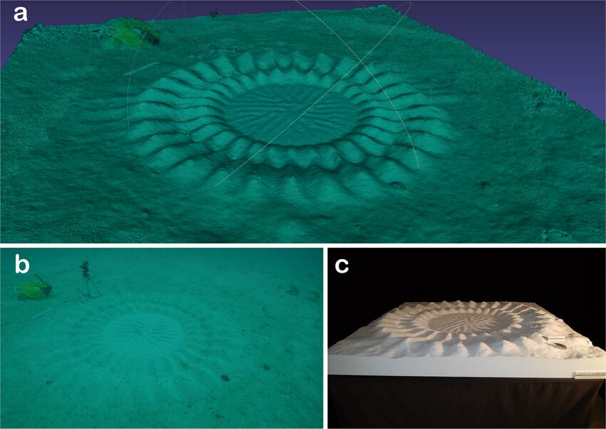 Three panels: a green-tinted 3D scan of a radiating circular sand structure on the seabed, an underwater video frame of the real circle, and a full-size white Styrofoam model of it on a table