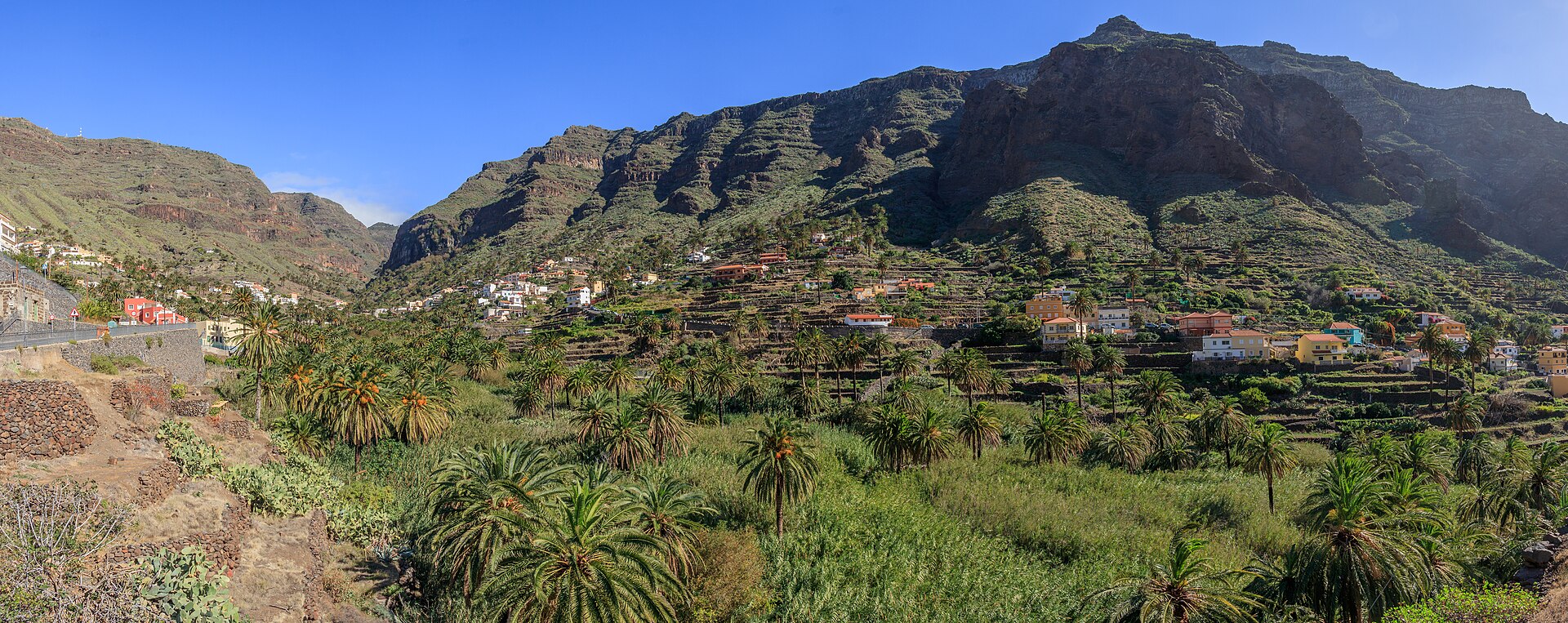 The wide green valley of Valle Gran Rey on La Gomera, terraced slopes descending toward the sea