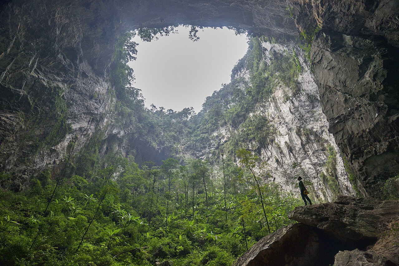 A doline skylight in Son Doong with full-sized trees growing on the cave floor below the collapsed ceiling