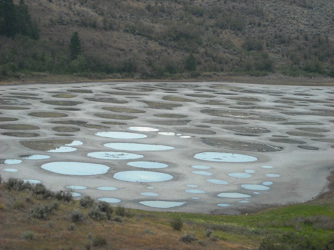 A close view of Spotted Lake's rimmed pools, each a slightly different shade of blue, green and cream