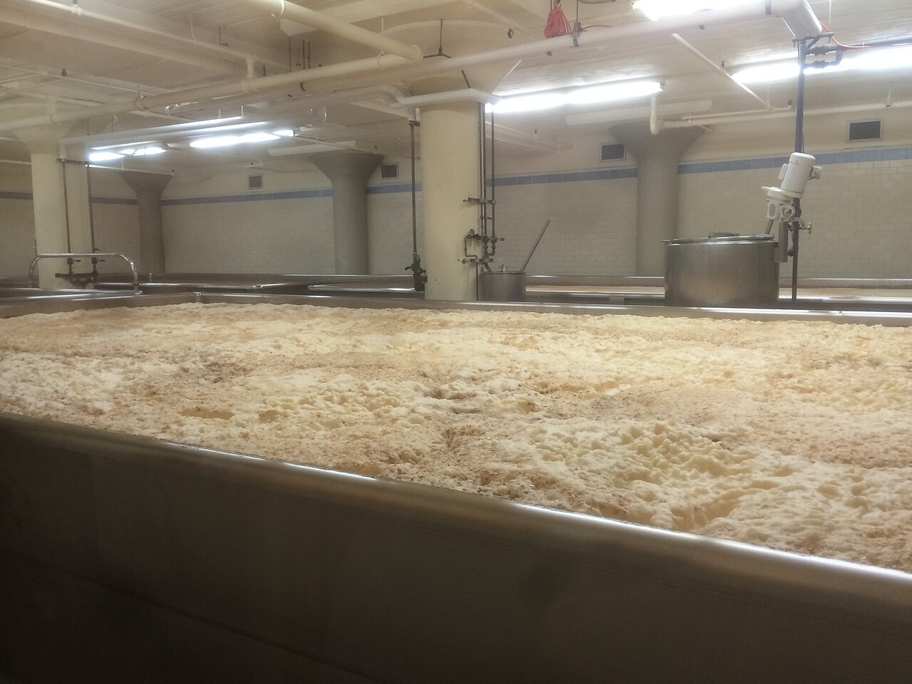 A very wide, shallow open-topped fermentation vessel filled edge to edge with thick cream-coloured foam, in a tiled brewery room