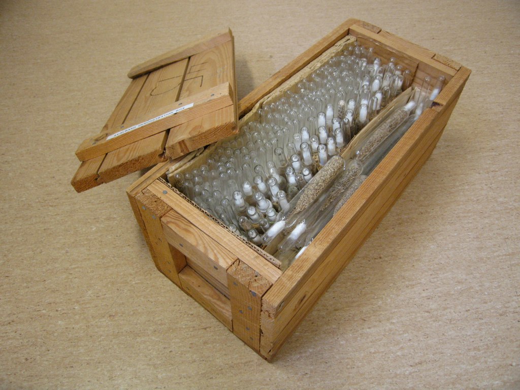 An open storage box holding neatly arranged sealed seed sample packets ready for deposit