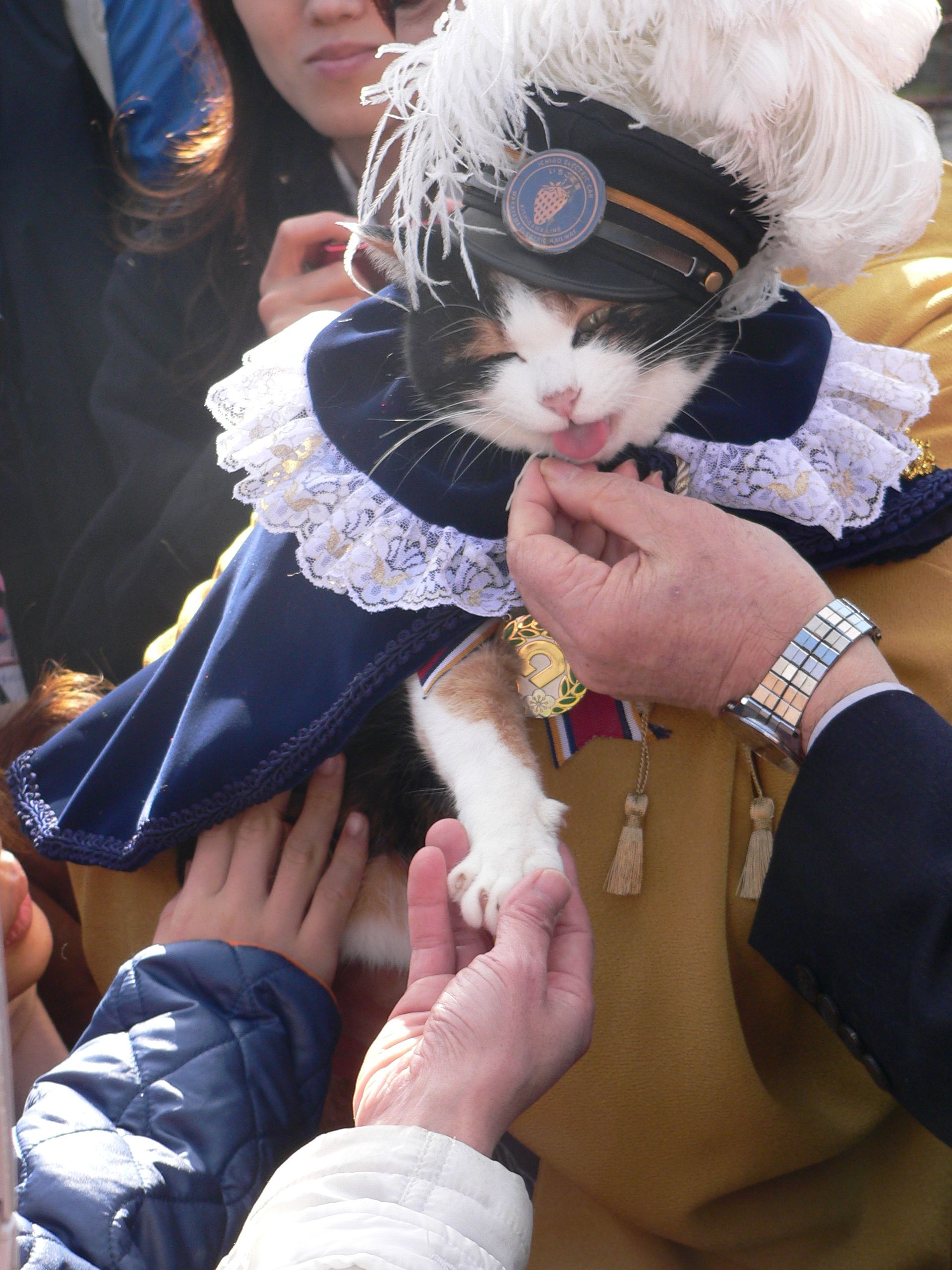 Tama in an elaborate ceremonial stationmaster costume with a feathered cap, surrounded by admirers reaching out to greet her