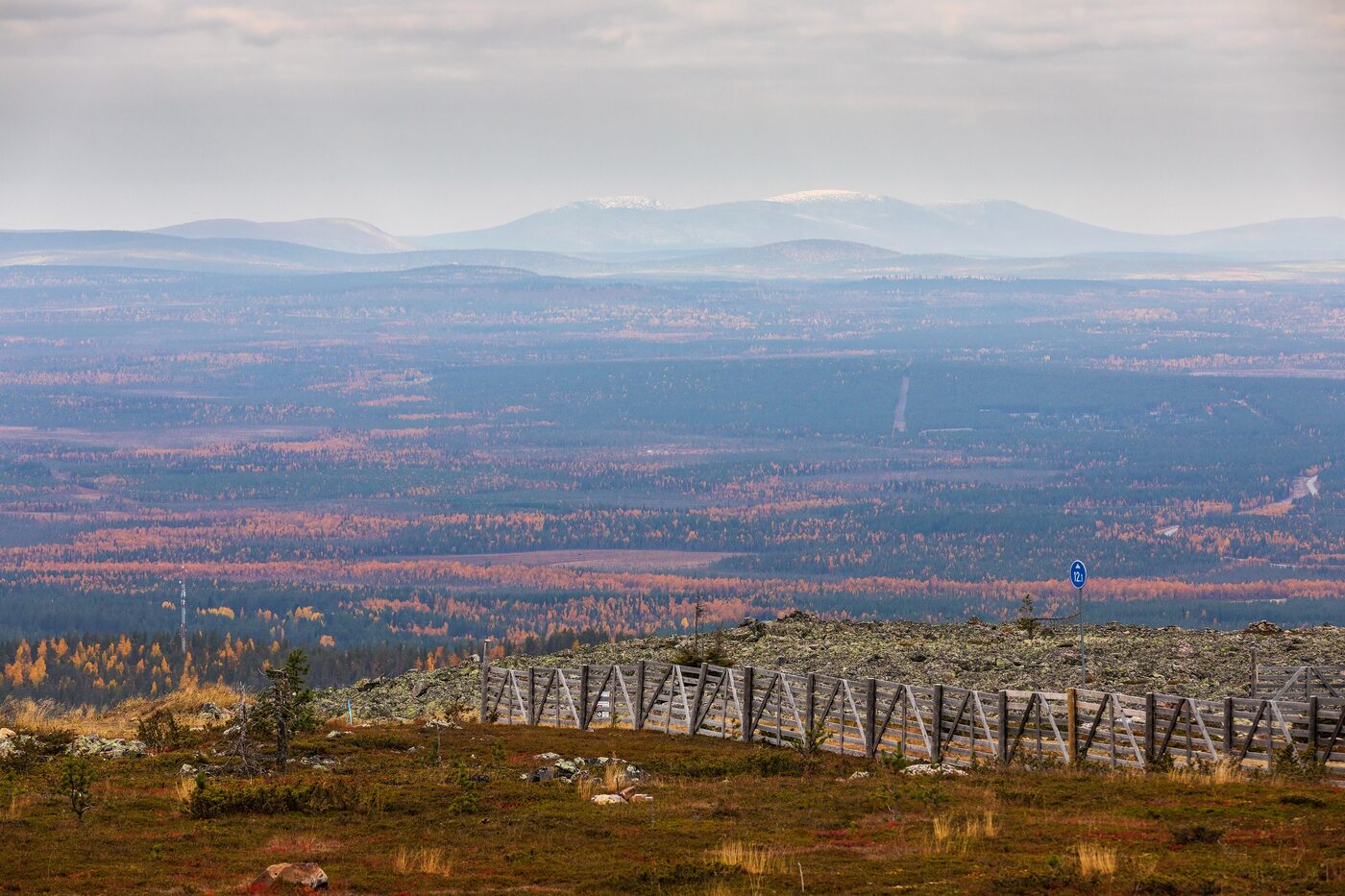 A wide view from the top of Levi fell in autumn, looking out over miles of low forest in orange and rust colours towards a line of pale blue fells on the horizon under a soft sky