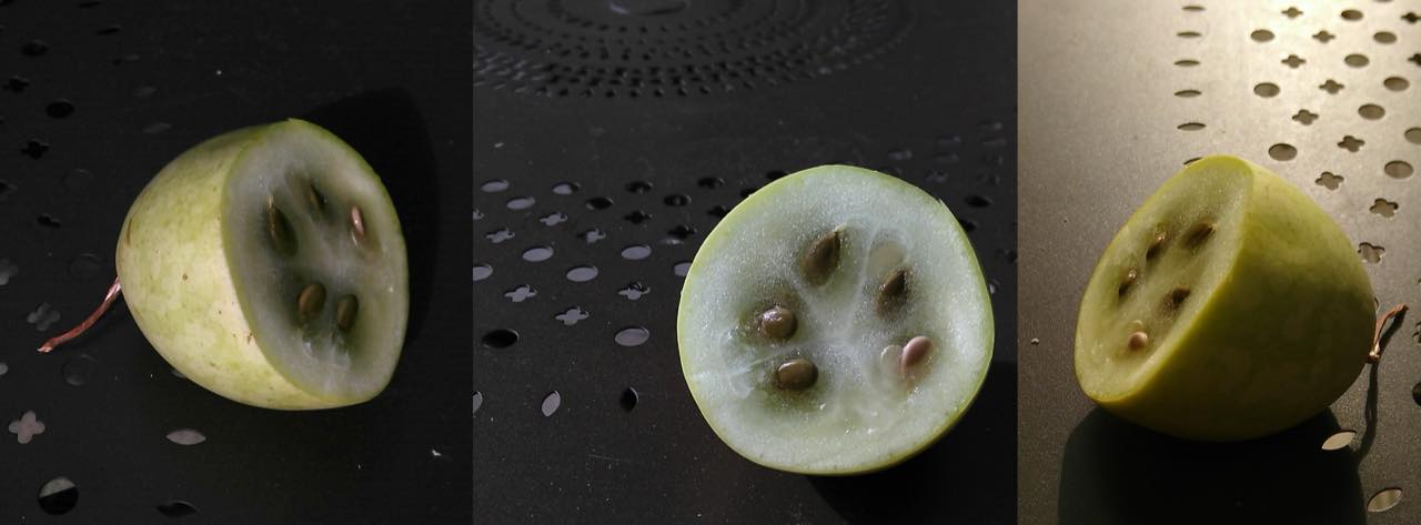 Three views of a small tsamma melon cut open, showing firm pale white-green flesh and a handful of large flat brown seeds