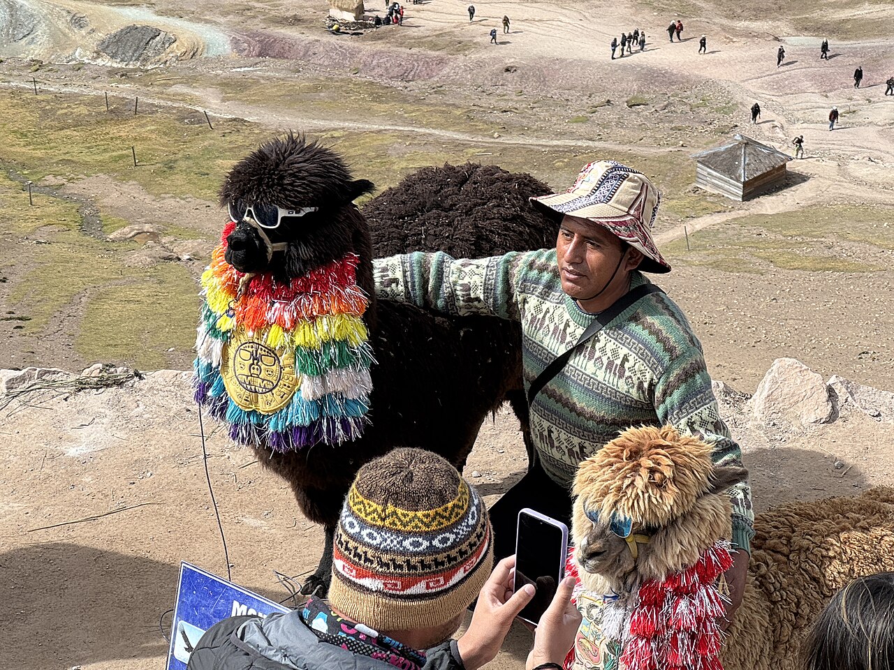 A fluffy alpaca standing on the slopes of Vinicunca with the colored mountain behind