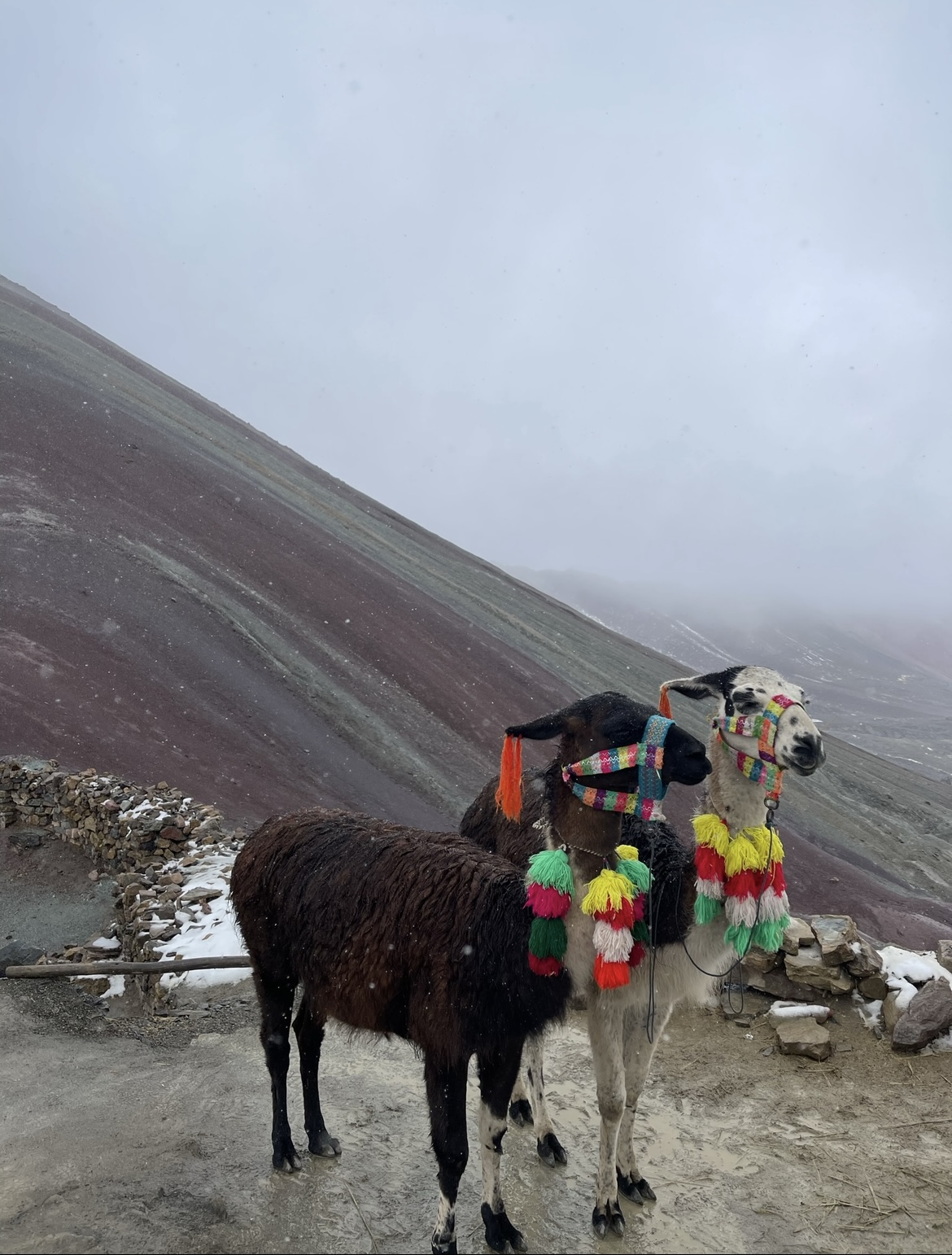 A close vertical view of the parallel colored mineral bands of Vinicunca