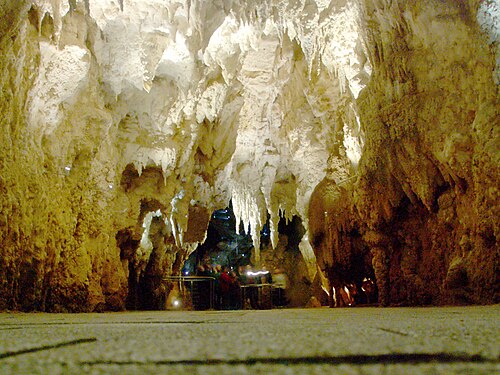 The vast lit limestone Cathedral chamber at Waitomo with stalactites and tiny visitors