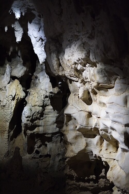 Pale limestone stalactite formations hanging in Waitomo cave